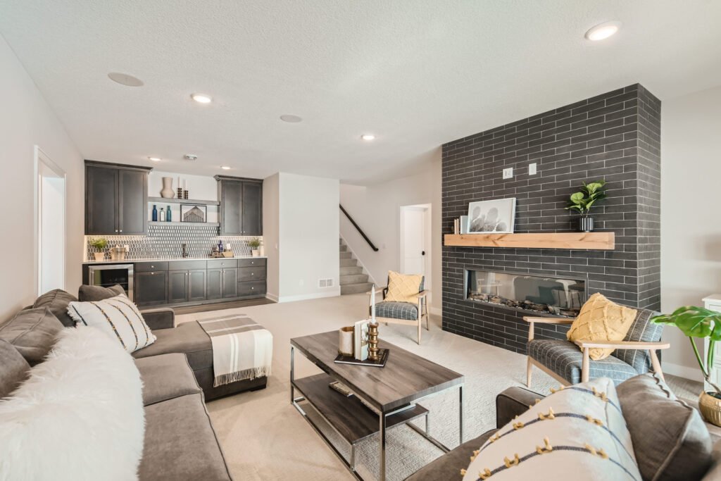 Lower Level and Basement Renovation - Multi-Purpose Space
